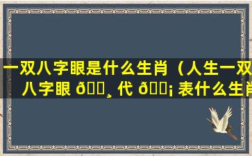 一双八字眼是什么生肖（人生一双八字眼 🌸 代 🐡 表什么生肖）